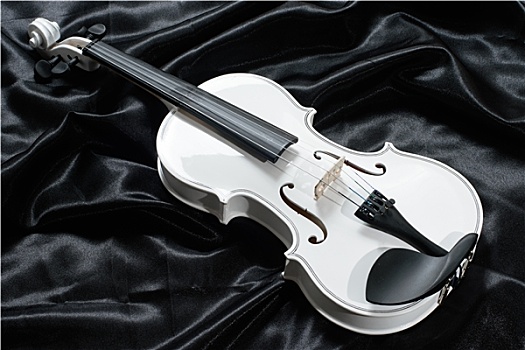 照片,白色,小提琴