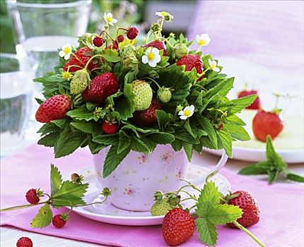 小,花,草莓