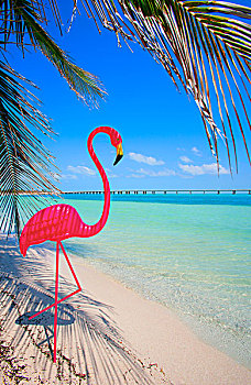 粉红火烈鸟,装饰,热带沙滩
