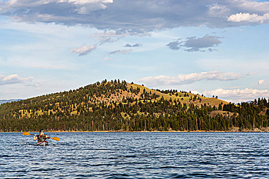 海上皮划艇,野马,岛屿,州立公园,背景,靠近,蒙大拿,美国