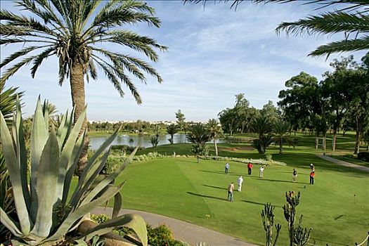 打高尔夫,高尔夫球场,阿加迪尔,摩洛哥,非洲
