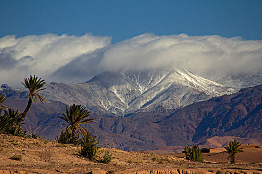 摩洛哥,风景,绿洲,背景,雪冠,阿特拉斯山脉