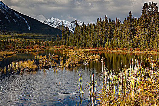 树,湖,日出,弗米利恩湖,伦多山,班芙国家公园,艾伯塔省,加拿大