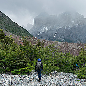 远足,托雷德裴恩国家公园,巴塔哥尼亚,智利
