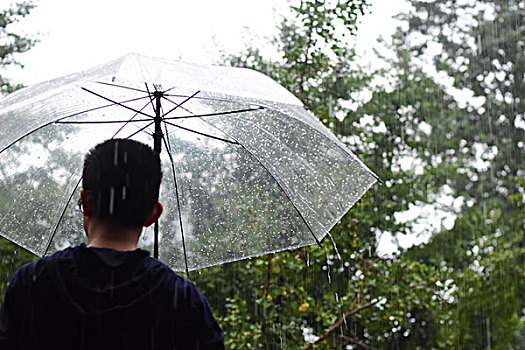 雨中