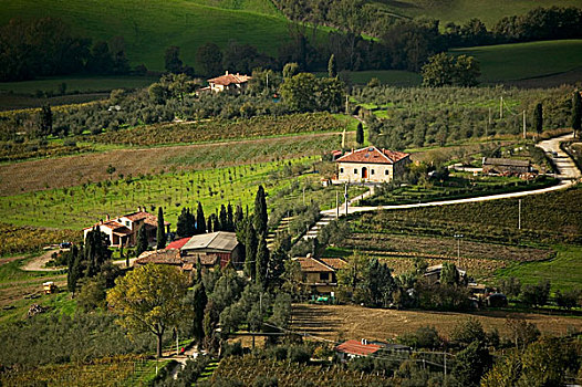 农田,蒙蒂普尔查诺红葡萄酒,托斯卡纳,意大利