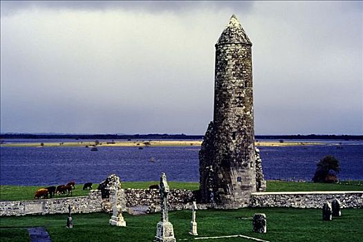 圆塔,墓地,遗址,教堂,银行,爱尔兰,欧洲