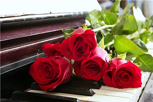 经典,红玫瑰,钢琴,旧式,浪漫,情人节
