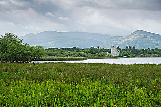 风景,城堡,基拉尼国家公园,凯瑞郡,爱尔兰