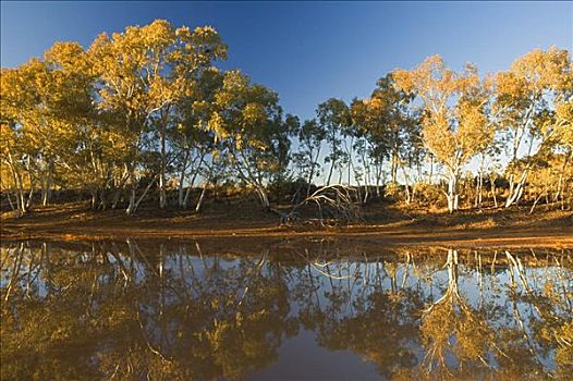 干河道,西部,国家公园,北领地州,澳大利亚