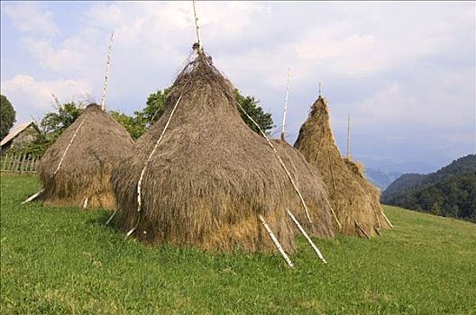 干草堆,喀尔巴阡山脉地区,罗马尼亚