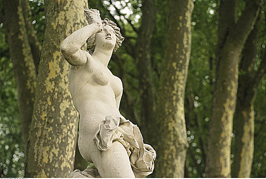 雕塑,树,凡尔赛宫,法国