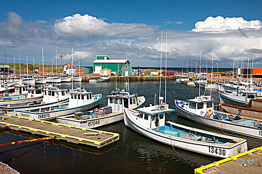 渔船,捆绑,水塘,爱德华王子岛,加拿大
