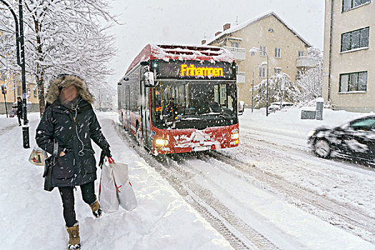 巴士,冬天,道路