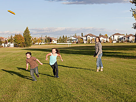 母亲,投掷,飞盘,孩子,公园,艾伯塔省,加拿大