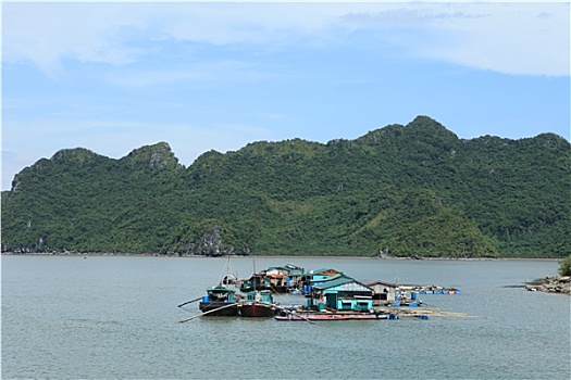 下龙湾,越南