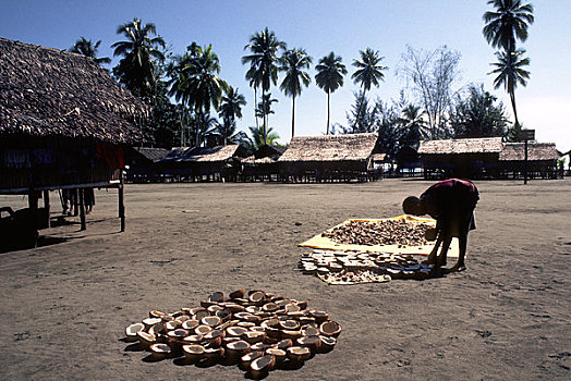 巴布亚新几内亚,乡村,干椰肉,制作,椰树,放入,太阳