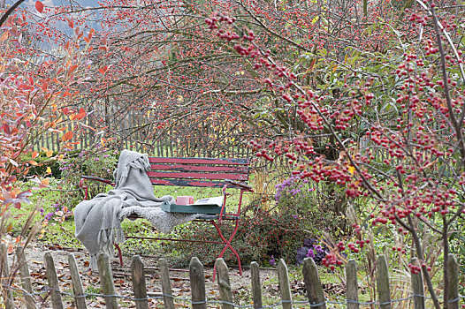 风景,上方,花园栅栏,红色,长椅,苹果树,观赏苹果,树