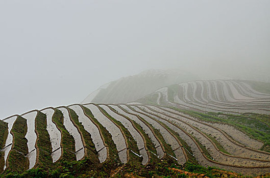 金坑梯田