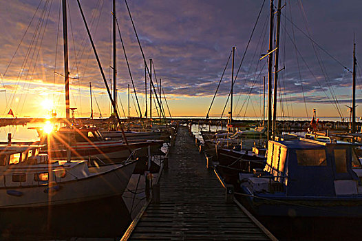 日出,上方,游艇,码头,丹麦,欧洲
