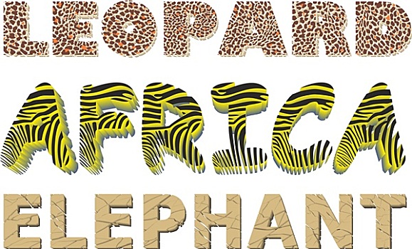 豹,斑马,大象,纹理,文字