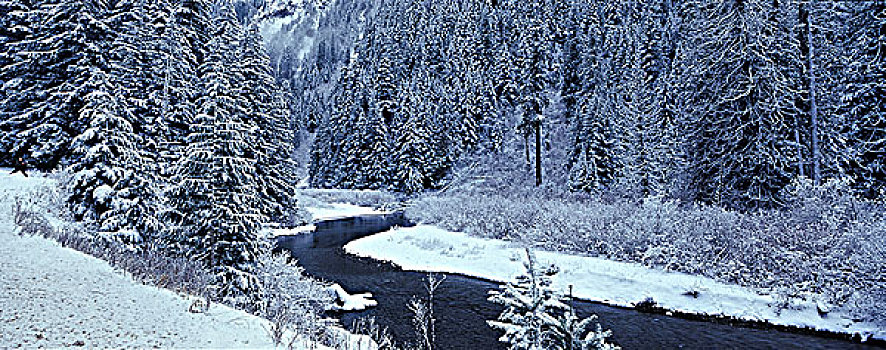 冬天,景色,河,省立公园,不列颠哥伦比亚省,加拿大
