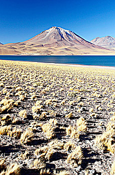智利,阿塔卡马沙漠,高原,泻湖,火山