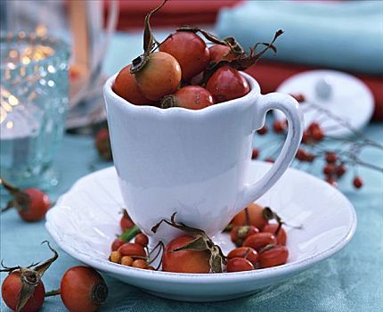 秋天,桌饰,野玫瑰果,咖啡杯