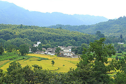 黟县塔川村