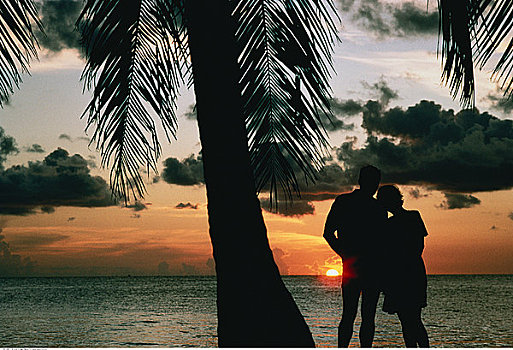 剪影,伴侣,站立,海滩,靠近,棕榈树,日落