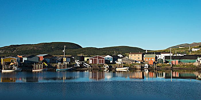 房子,船,海岸线,鲑鱼,河,纽芬兰,加拿大