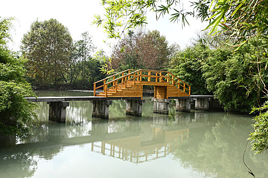 西溪湿地里的水上石桥木桥