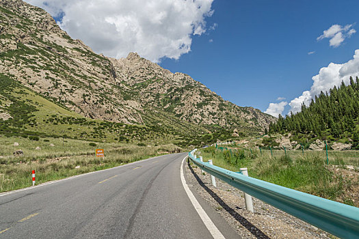 中国新疆夏季蓝天白云下高山草原g217独库公路弯道特写