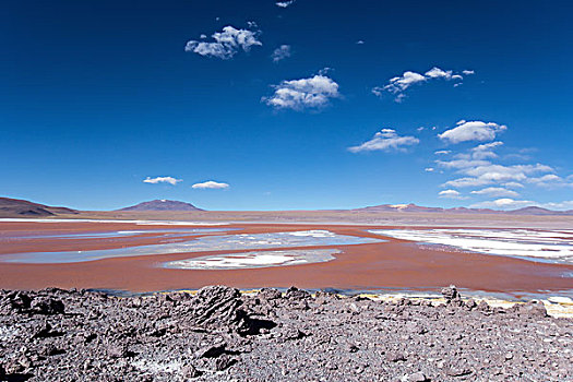 泻湖,红色,水,高,满意,藻类,乌尤尼盐沼,玻利维亚,南美