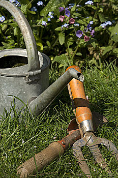 英格兰,北约克郡,洒水壶,手铲,花园,草地