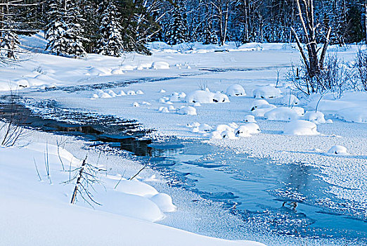 冬天,河流,区域,靠近,安大略省,加拿大