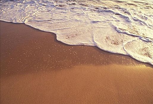 海洋,岸边,沙子