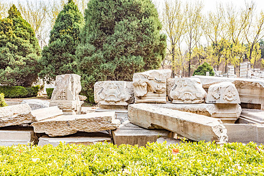 春天圆明园遗址公园里的石雕遗迹