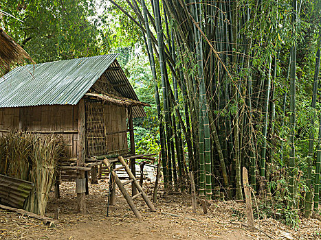 小屋,竹林,禁止,琅勃拉邦,老挝