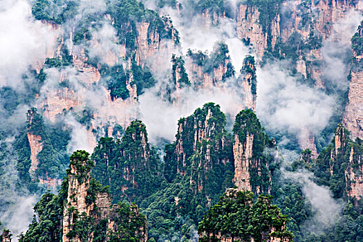 湖南,张家界,峰林,云雾