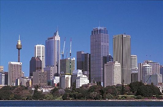 天际线,悉尼,塔楼,澳大利亚