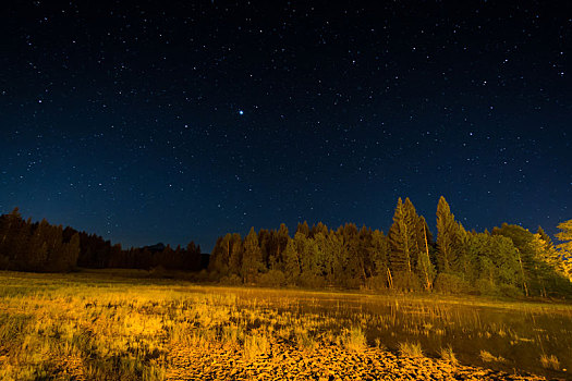 荒野,湖,夜晚,星光