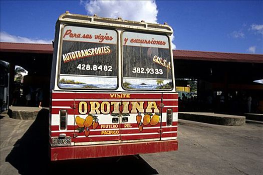 巴士,涂绘,热带水果,文字,公交车站,哥斯达黎加,太平洋,中美洲