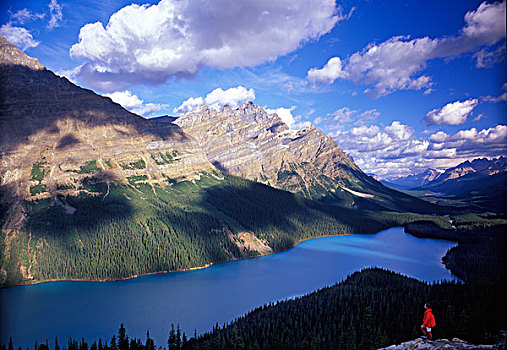 远足,红色,外套,远眺,佩多湖,班芙国家公园,加拿大