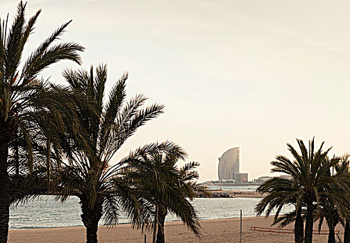 日落,海滩,巴塞罗那,西班牙