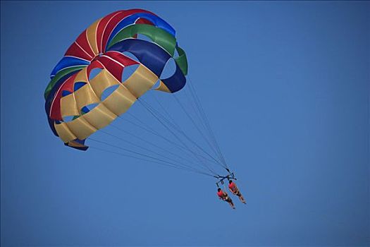 仰视,两个,滑翔伞运动者,空中,迈阿密海滩,佛罗里达,美国