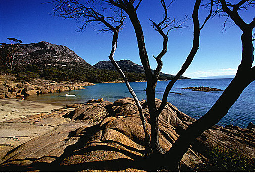 岩石,海岸线,国家公园,蜜月,湾,塔斯马尼亚,澳大利亚