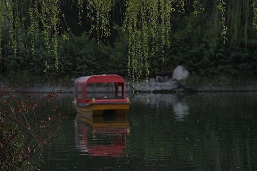 春天湖里的小船