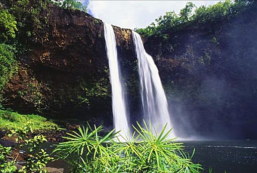 夏威夷,考艾岛,威陆亚,瀑布,州立公园,三个,植物,前景