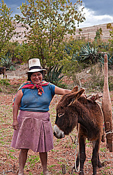 美好,农事,女人,农场,传统服饰,工人,秘鲁
